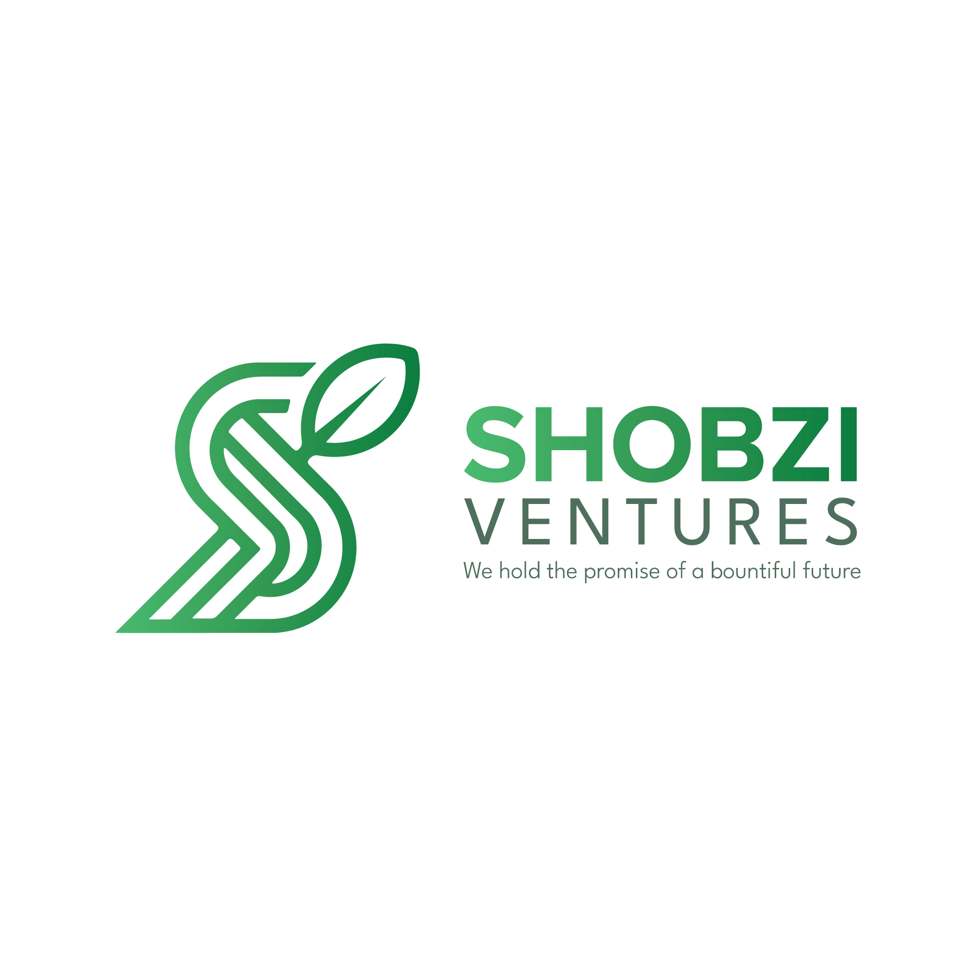 Shobzi Ventures